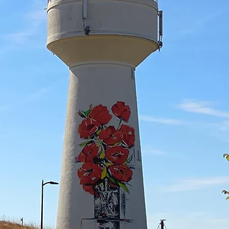 Les Coquelicots